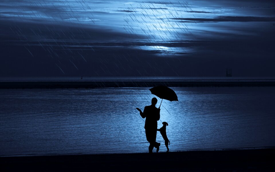 Pet friendship sea
