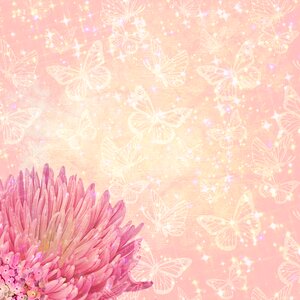 Spring butterfly sparkles