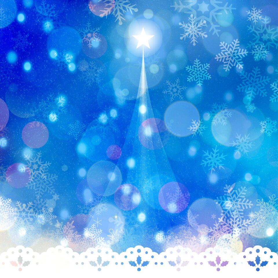 Christmas winter decoration