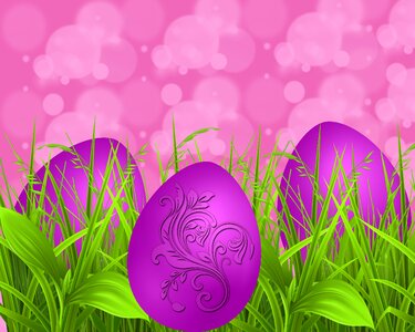 Background texture pink background