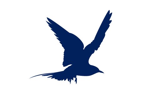 Silhouette wing nature