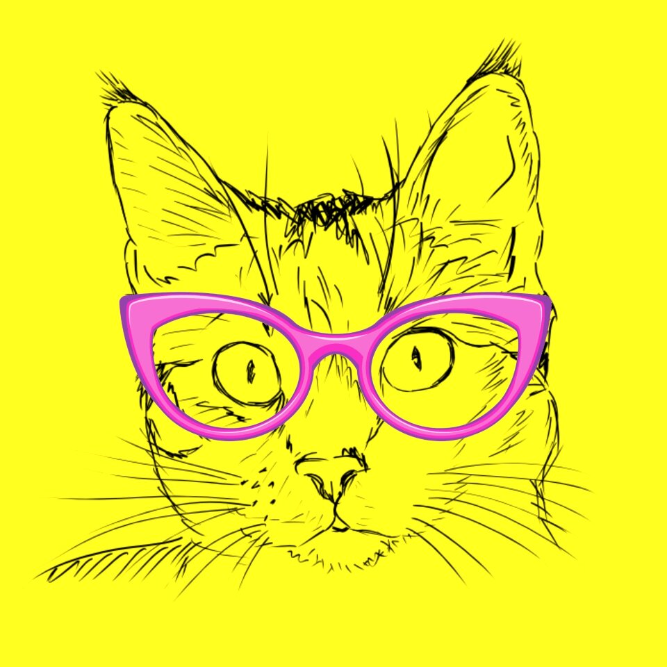 Glasses yellow cat yellow glass