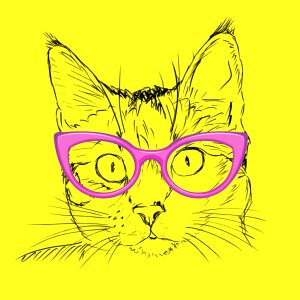 Glasses yellow cat yellow glass