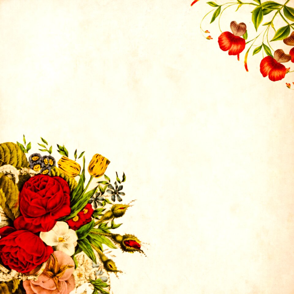 Roses bouquet floral