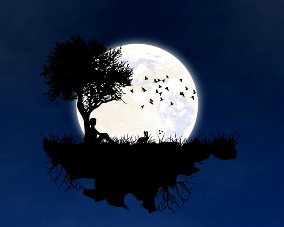 Birds rabbit silhouettes