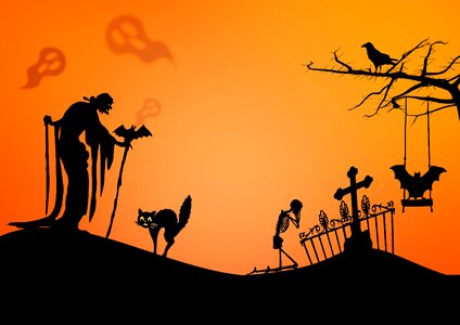 Cat skeleton raven