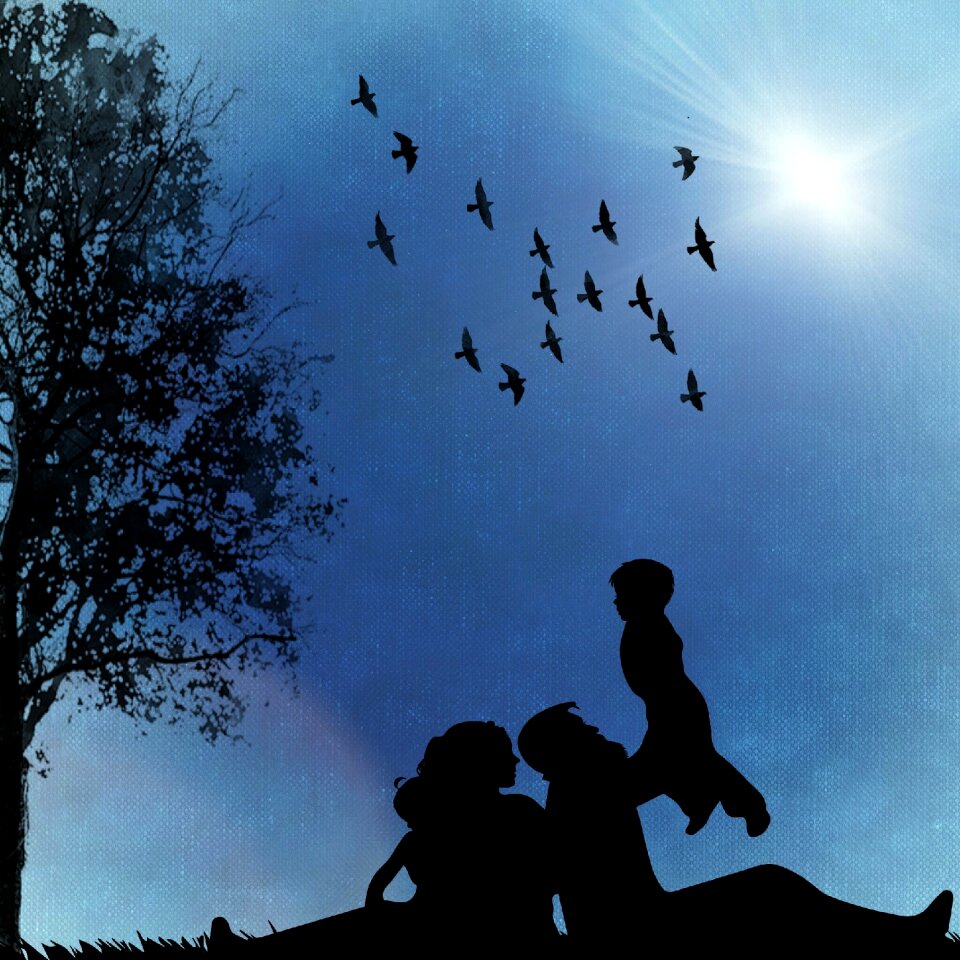 Birds sunshine blue sky