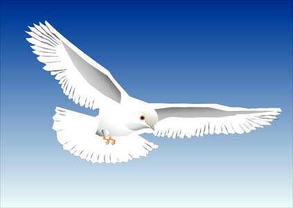Flying feather bird