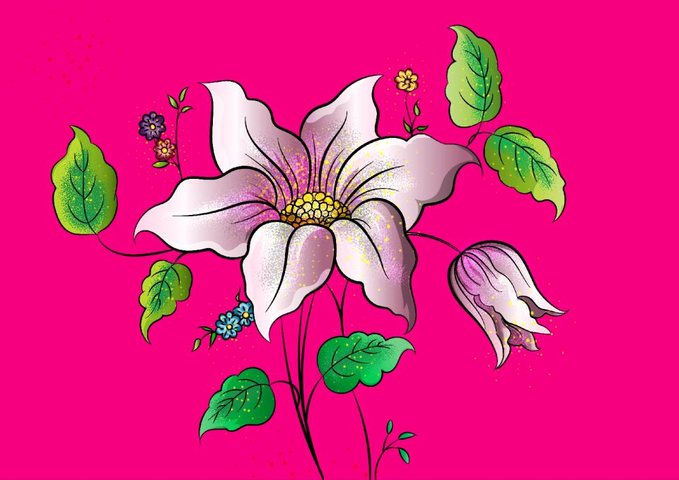 Pink nature pink color pink natural