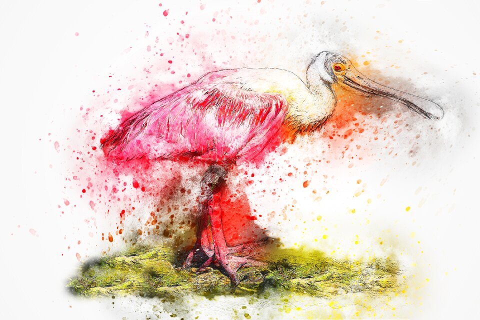 Feathers animal watercolor