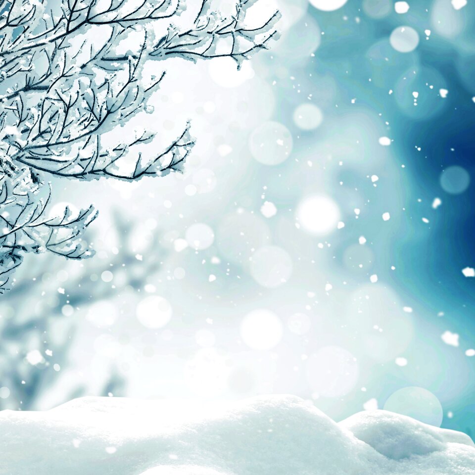 Christmas winter decoration