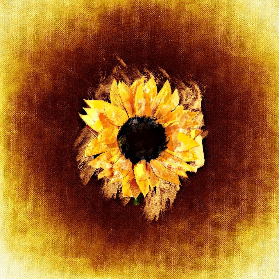 Background flower Free illustrations