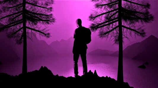 Silhouette evening Free illustrations