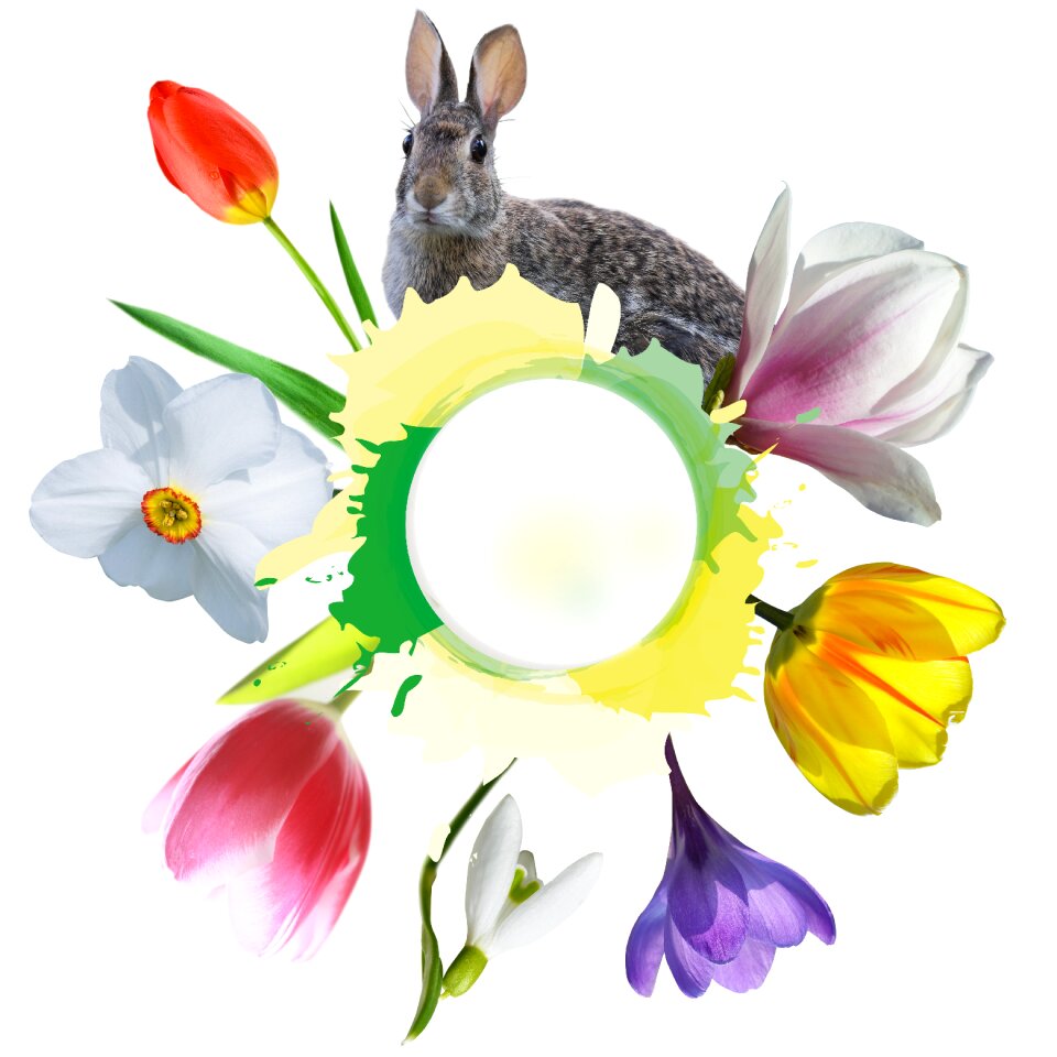 Spring awakening easter flower