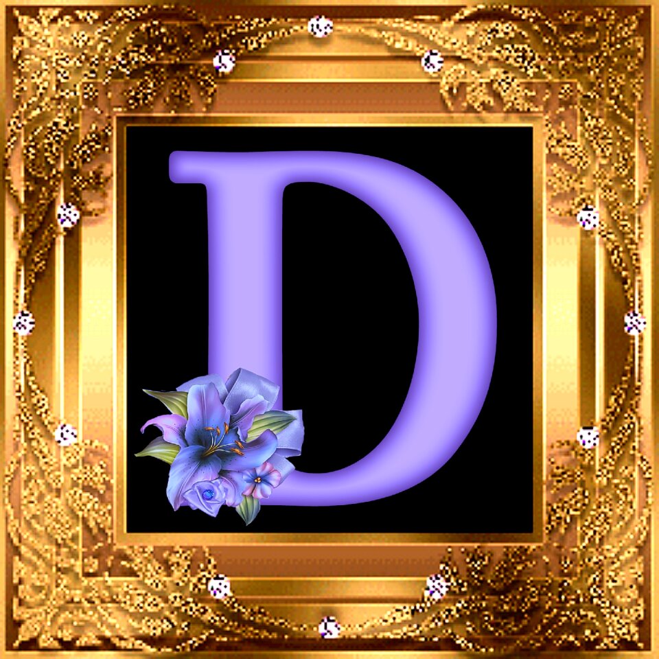 Gold ornate picture frame