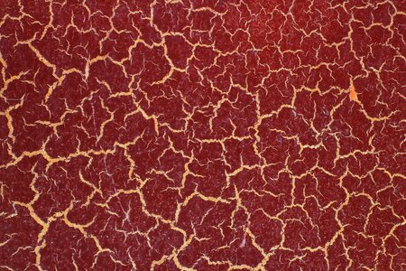 Texture old Free illustrations