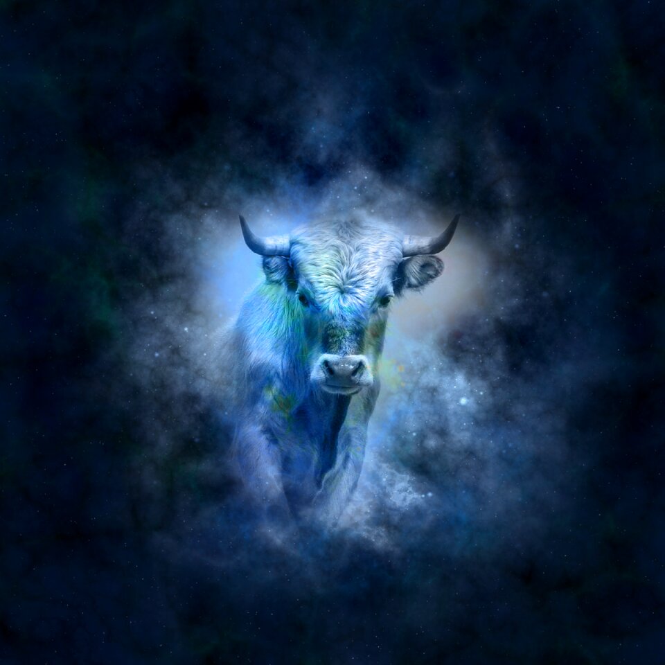 Bull icon images signs of the zodiac