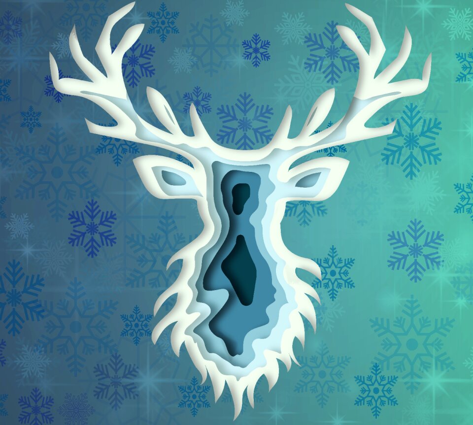 Christmas decoration cold