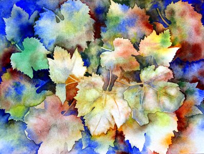 Leaf nature color