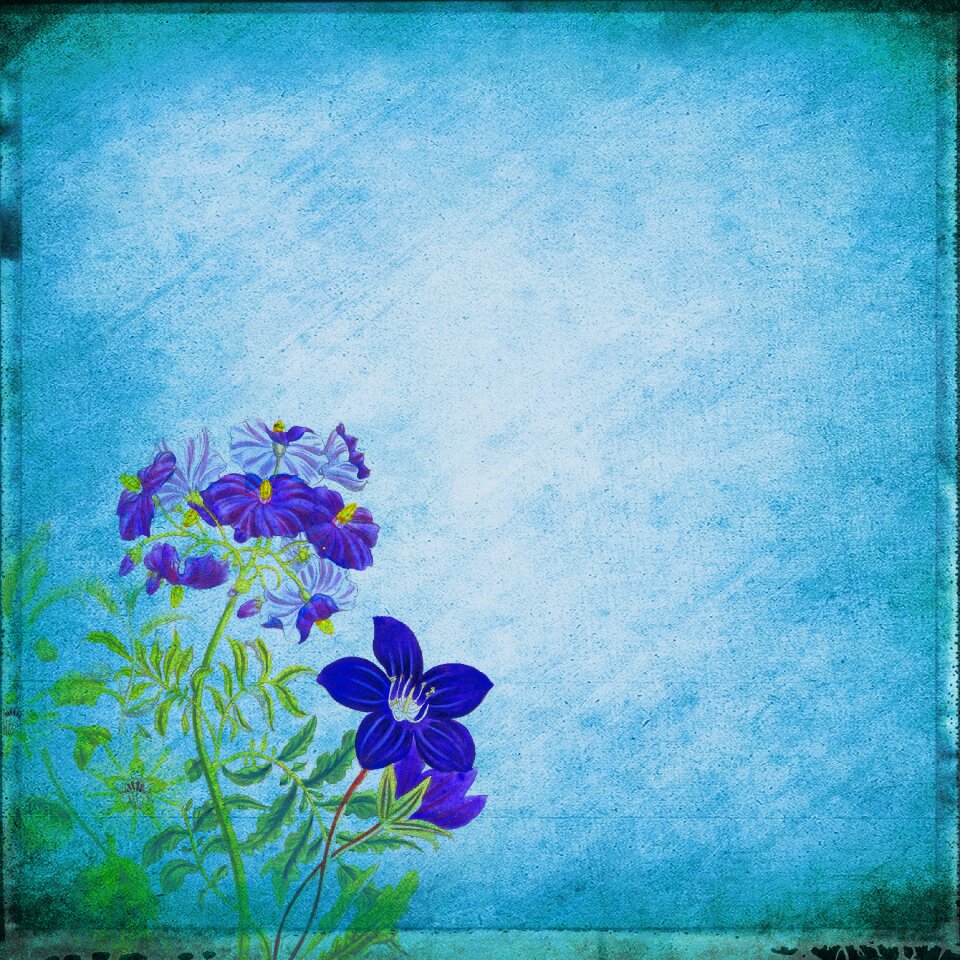 Blue nature scrapbooking
