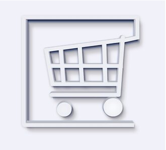 Purchasing shopping online