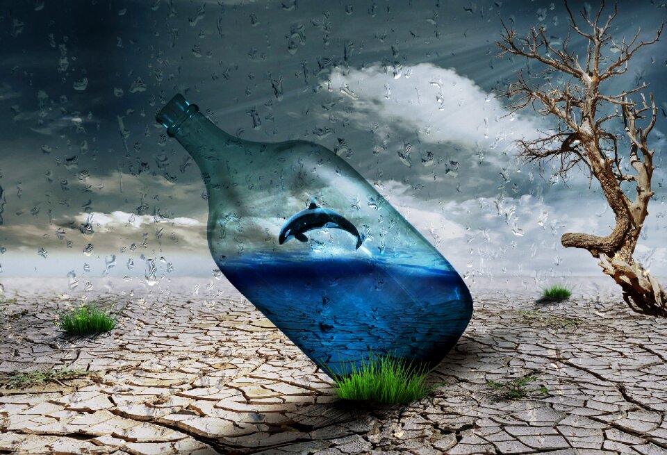 Wind art creativity