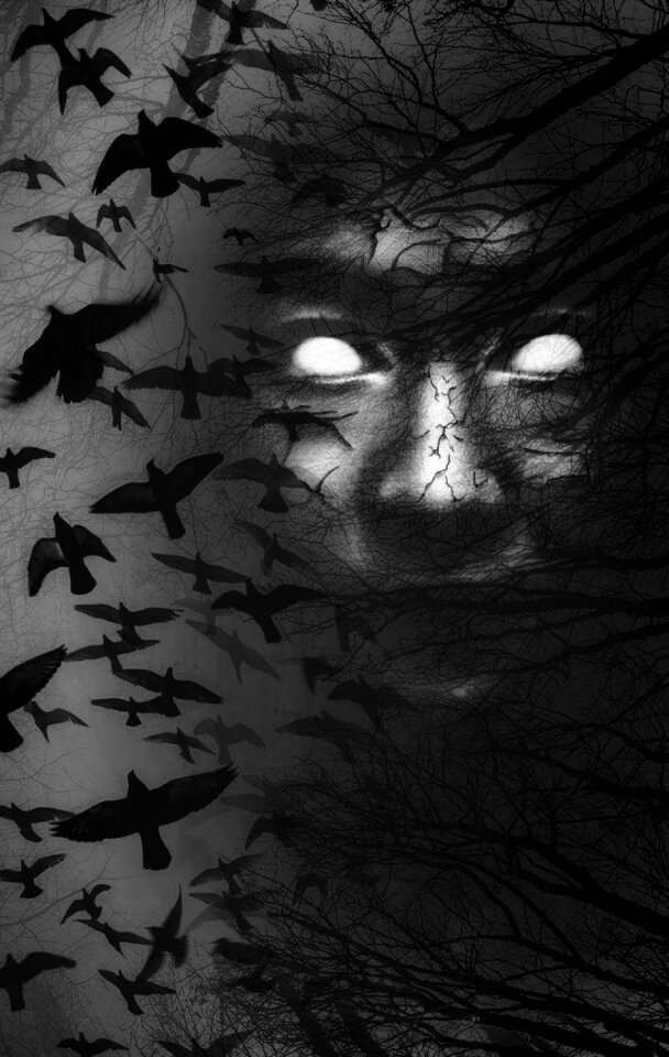 Birds hidden forest