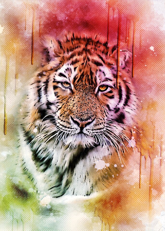 Animal dangerous nature