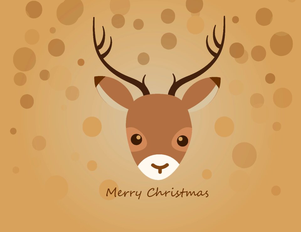 Xmas scheu damm wild