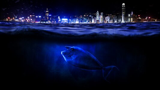 Ocean wave light