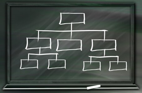 Organization organization chart building