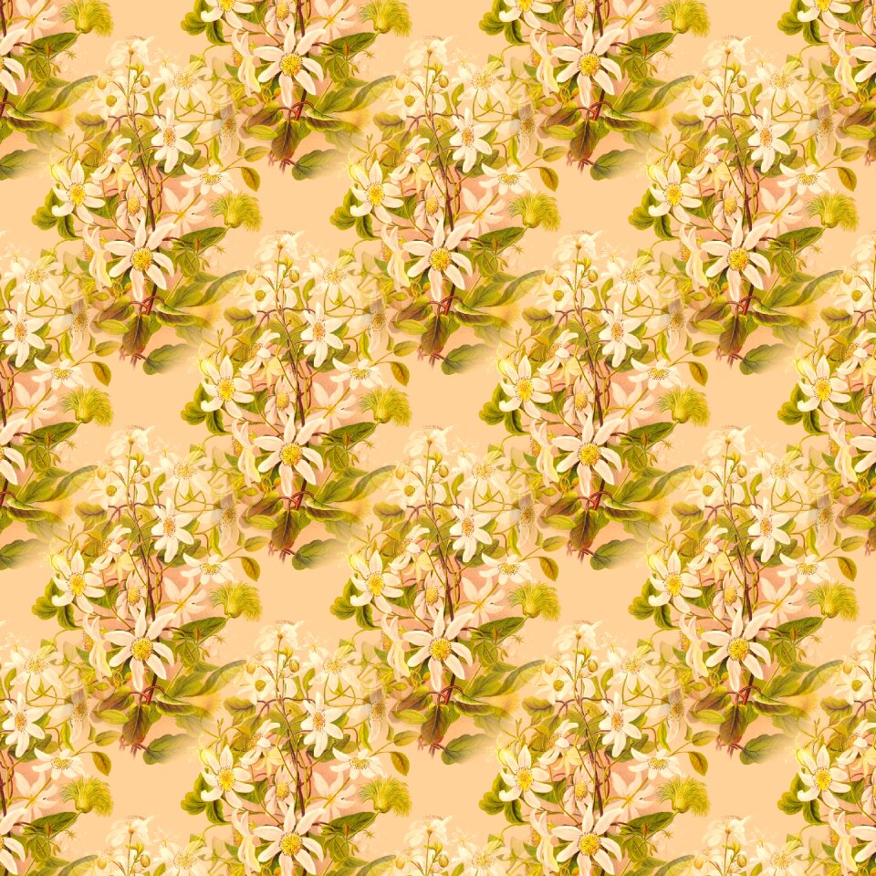 Decorative pattern orange pattern