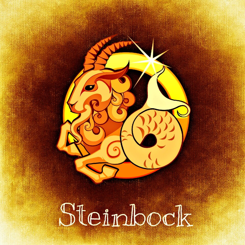 Astrology signs of the zodiac symbol