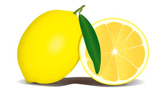 Citrus vitamin Free illustrations