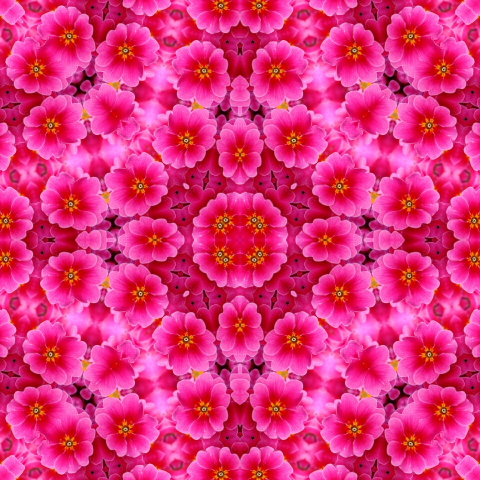 Scrapbooking flowers wallpaper