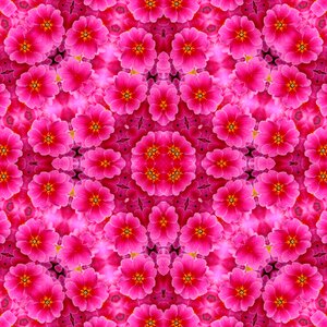 Scrapbooking flowers wallpaper