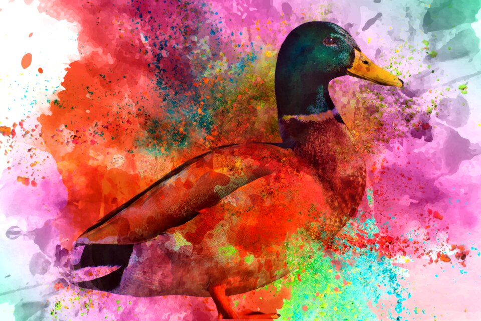 Painting color Free illustrations