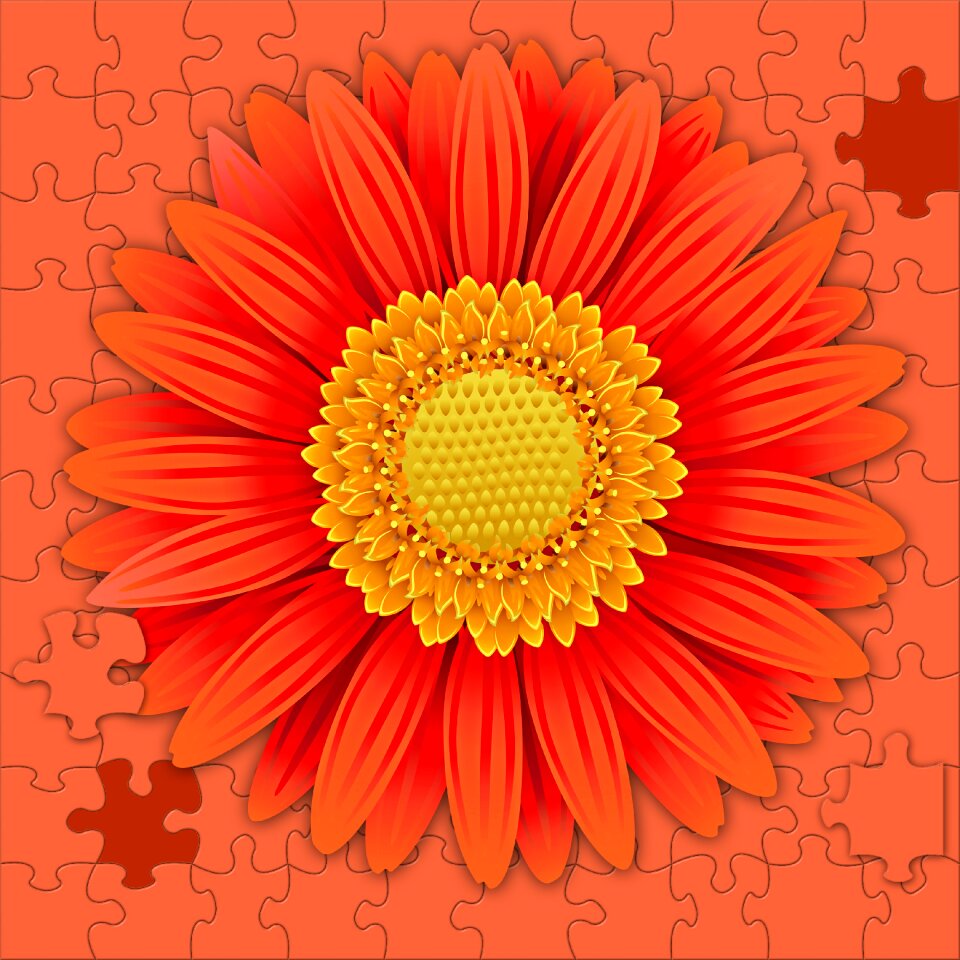 Summer color puzzle