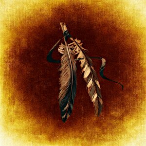 Indian brown Free illustrations