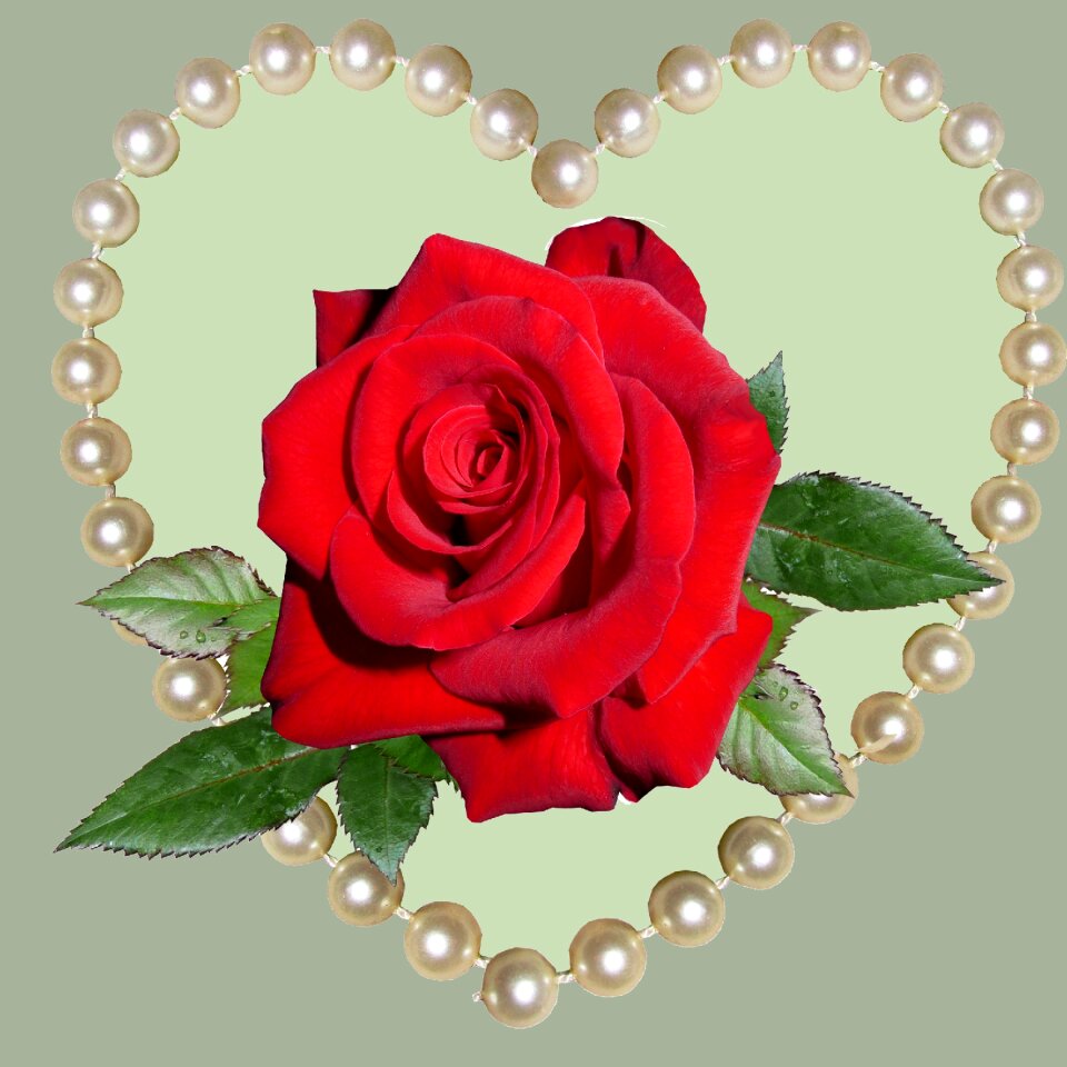 Heart pearls valentine