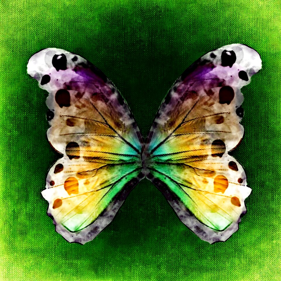 Abstract colorful Free illustrations