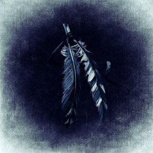 Indian blue Free illustrations