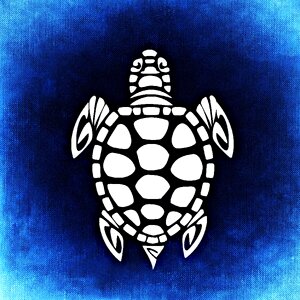 Animal abstract Free illustrations