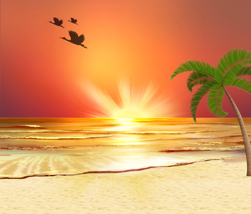 Ducks beach sunset