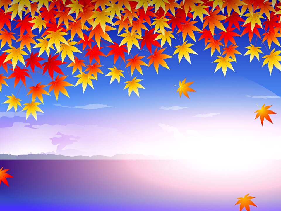 Sunrise autumn sky