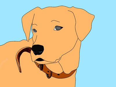 Pet illustration Free illustrations