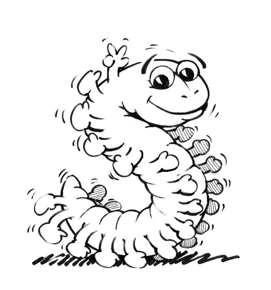 Worm centipedes Free illustrations