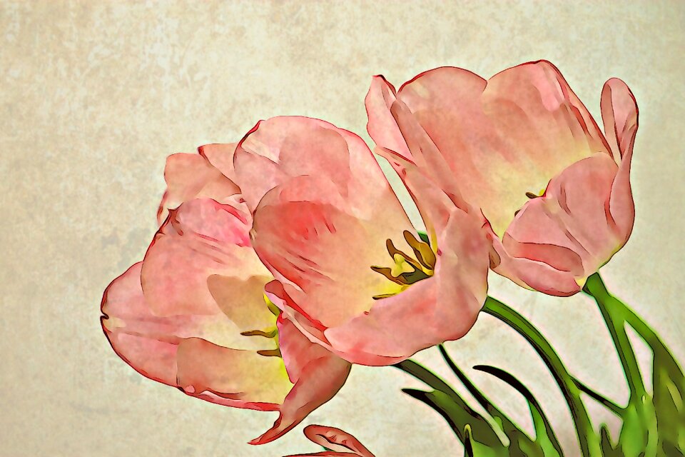 Floral petal romantic
