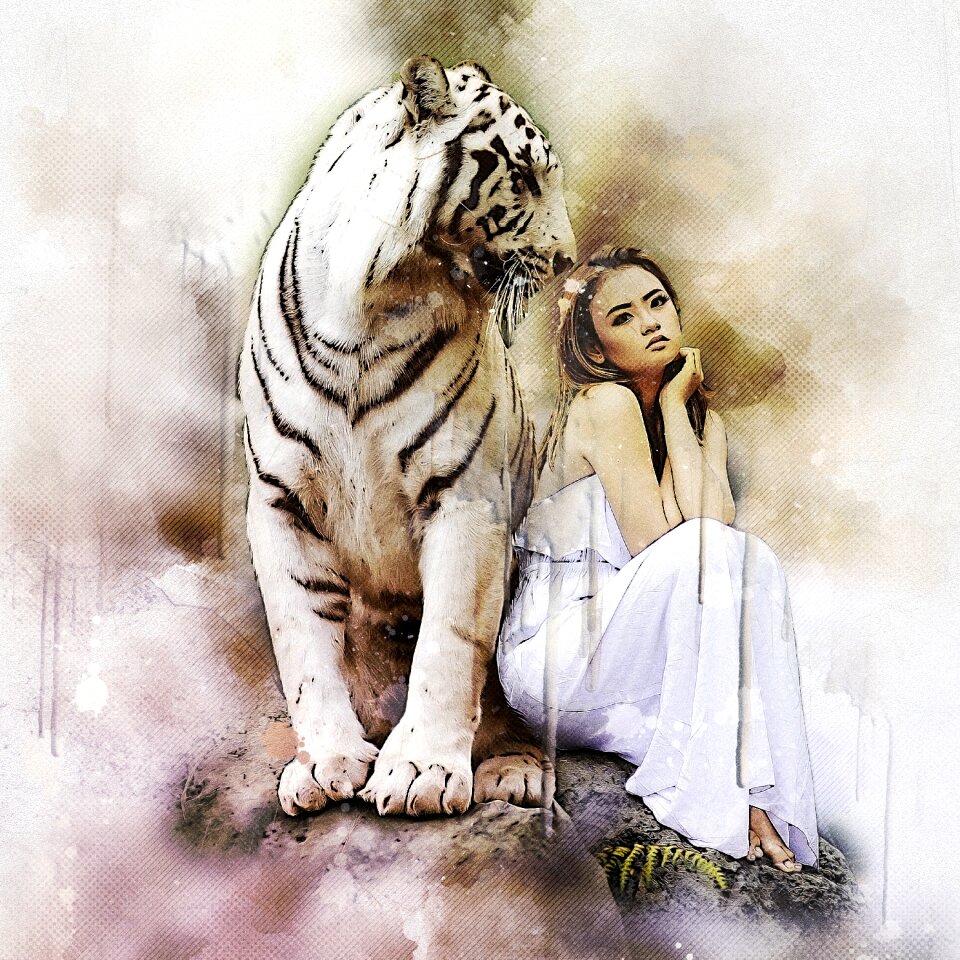 Tiger predator big cat