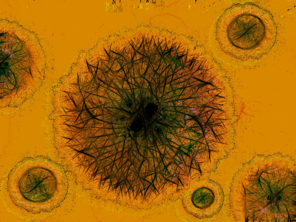 Cell microscopy clinic